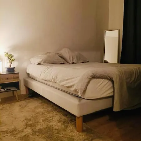 Maison Jardin A Bordeaux Tatil Evi *