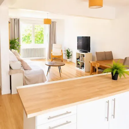 Maison Jardin A Bordeaux Mérignac